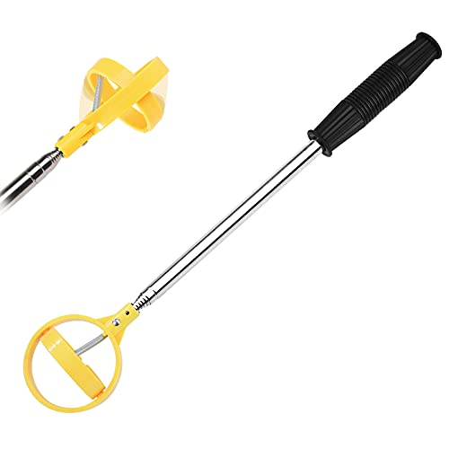 Accesorios para Dispositivos