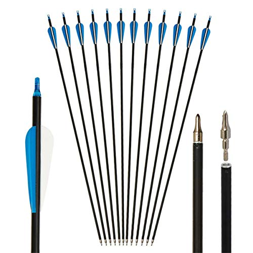 Mejores Arcos y Flechas Profesionales