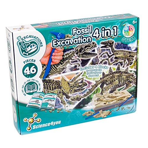 Arqueología y Paleontología