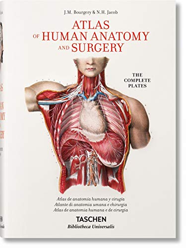 Biologa Humana