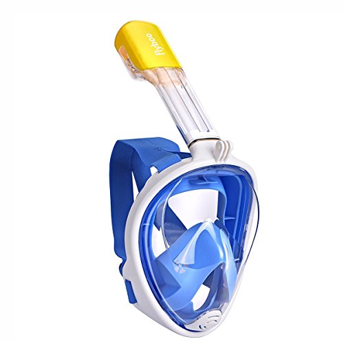 Buceo y Snorkel