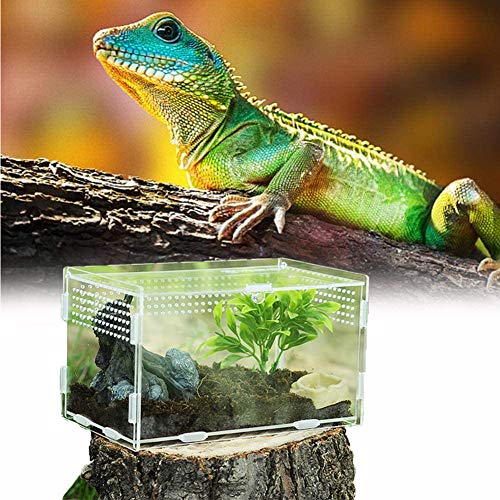 Casas para Reptiles