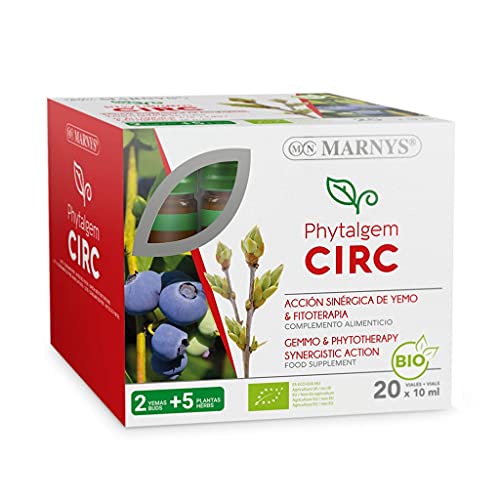 Circo