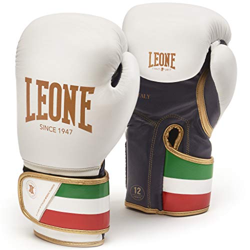 Mejores Guantes de Boxeo Profesionales