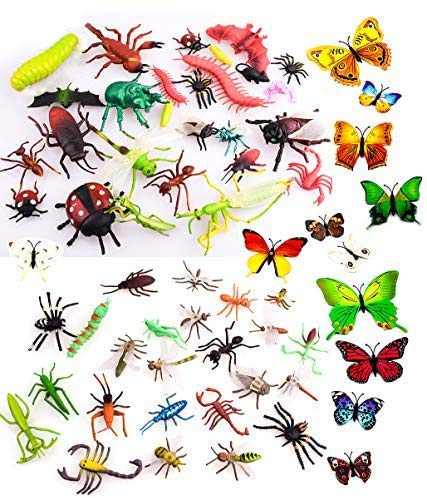 Insectos