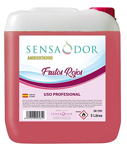 Mejores Ambientadores Profesionales para Comercios