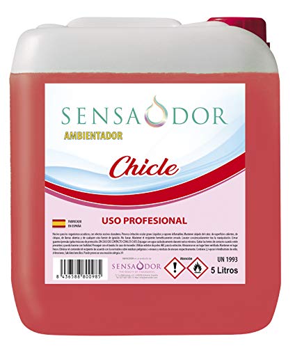 Mejores Ambientadores Profesionales