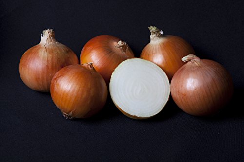 Cebolla