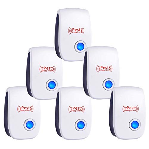 Control de Mosquitos y Moscas