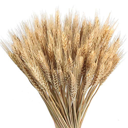 Espigas