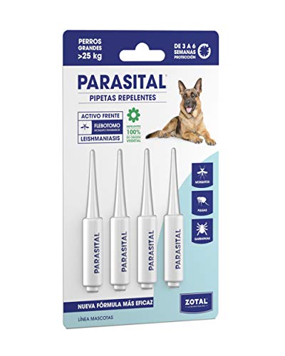 Pipetas Serolgicas