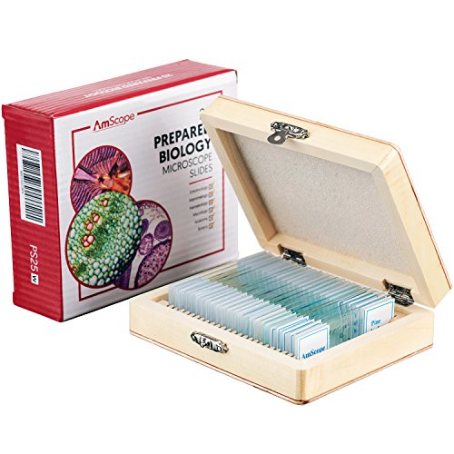 Portaobjetos para Muestras Microscpicas