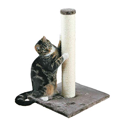 Postes Rascadores