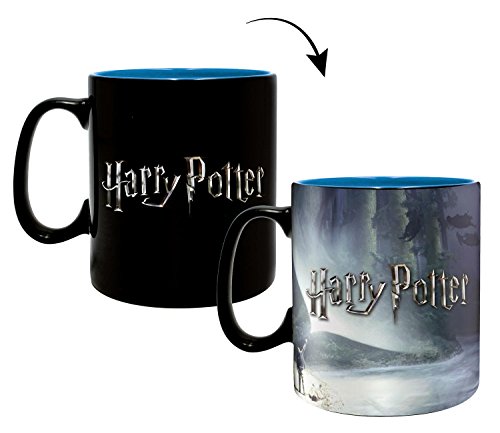 Tazas Trmicas de Harry Potter