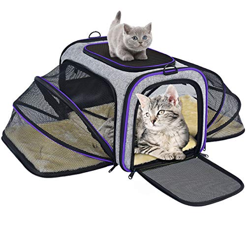 Transportn para Gatos