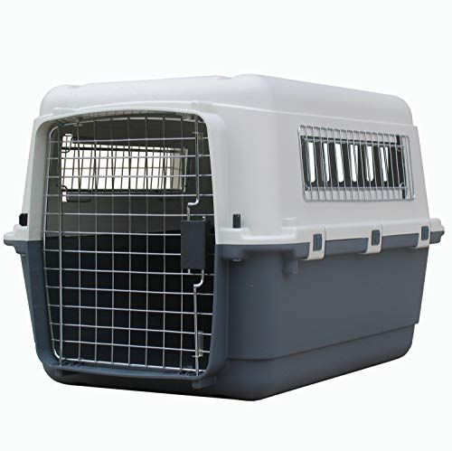 Transportines para Perros Medianos