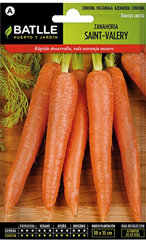Zanahorias