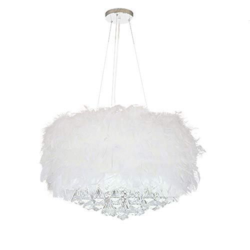 Luces de Pluma