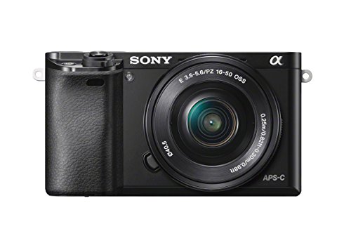 Mejores Cámaras Sony Profesionales